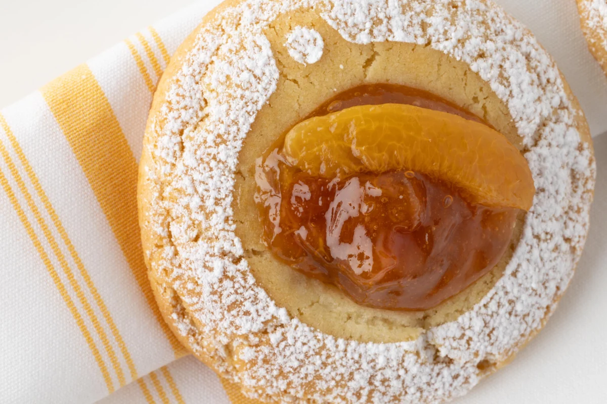 Apricot Sugar Cookie - Andros Professional