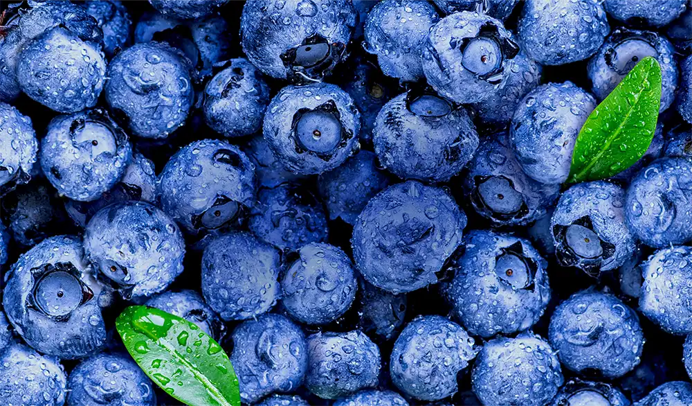Blueberries