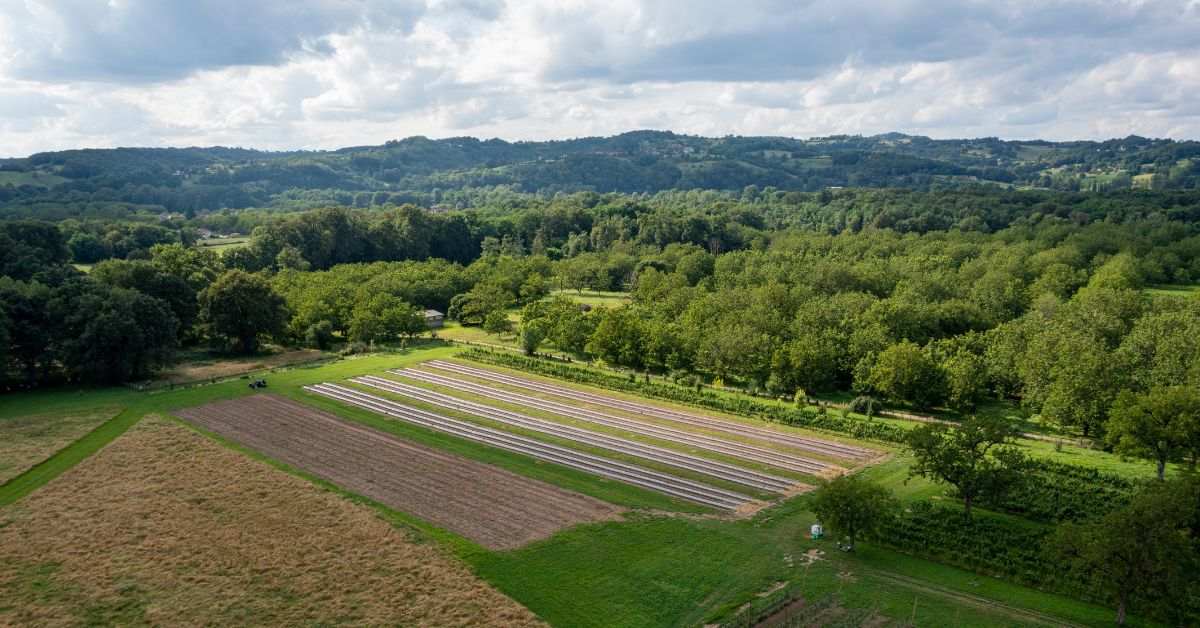 An aerial view photograph of one of the farms where Andros Professional sources its fruit.