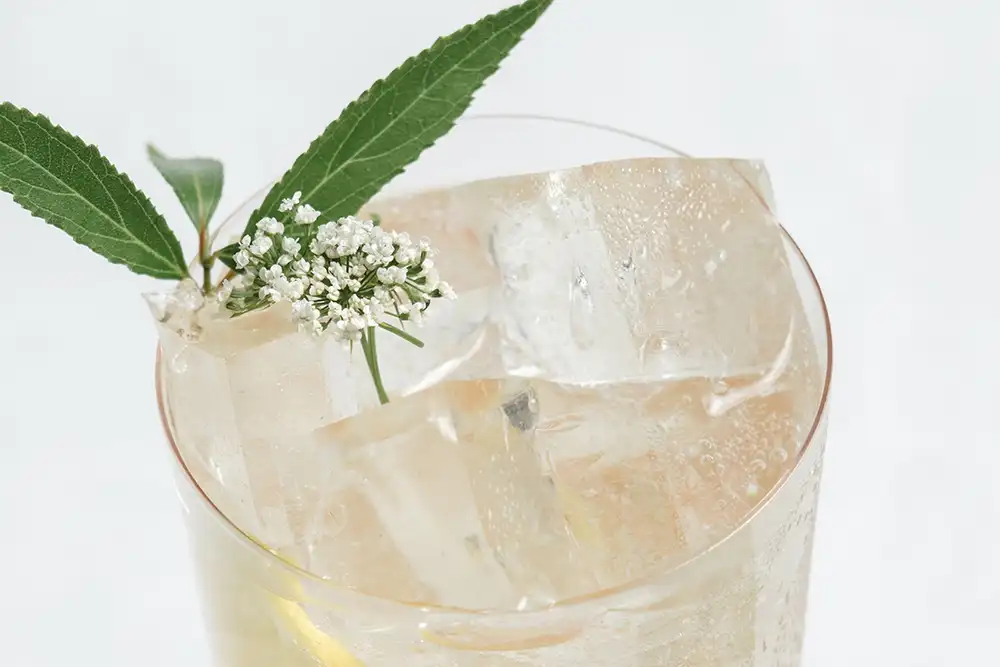 Pink Sun Fizz