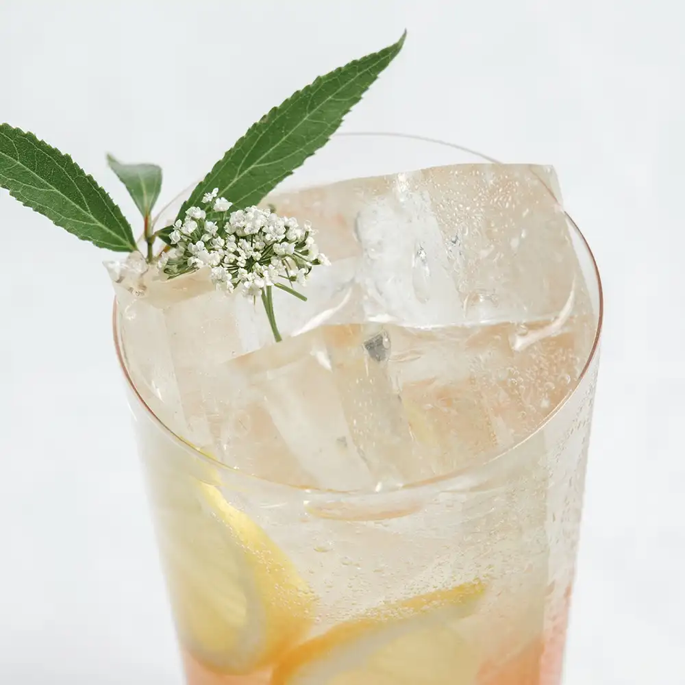 Pink Sun Fizz