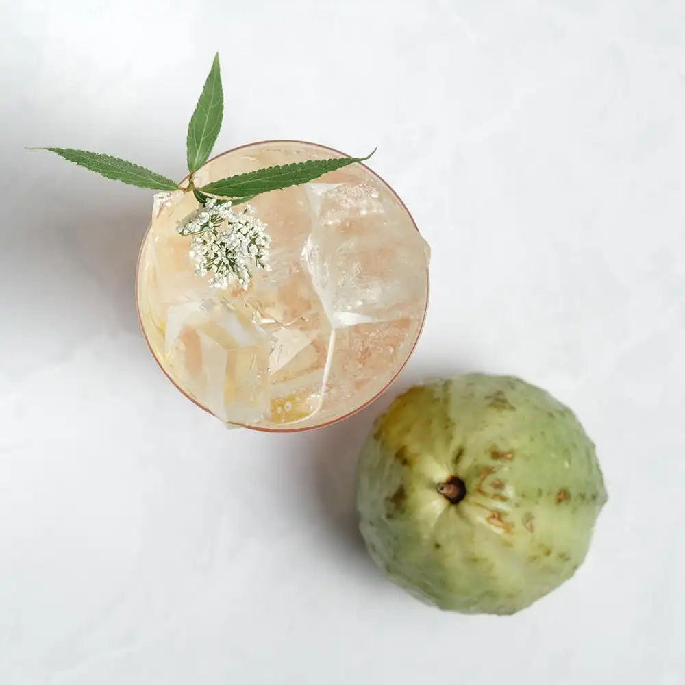 Pink Sun Fizz